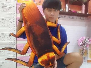 Menjijikan! Dijual Bantal Kecoa dan Cicak, Mau Beli?