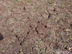 Krisis Air Bersih, Pemkab Garut Lakukan Ngandir Air