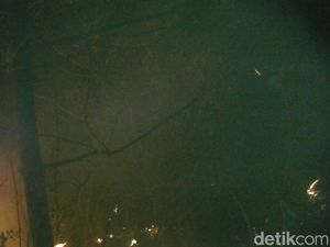 2 Hektare Lahan di Gunung Cikuray Garut Hangus Terbakar