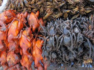 Ini 10 Makanan Paling Aneh di Dunia, Dari Ulat, Usus Kuda hingga Tarantula