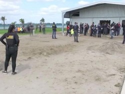 Puluhan Pekerja Asing Ditangkap di Kebun Stroberi di Perth