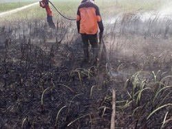 KLHK Utamakan Aspek Pencegahan dan Pemadaman Dini