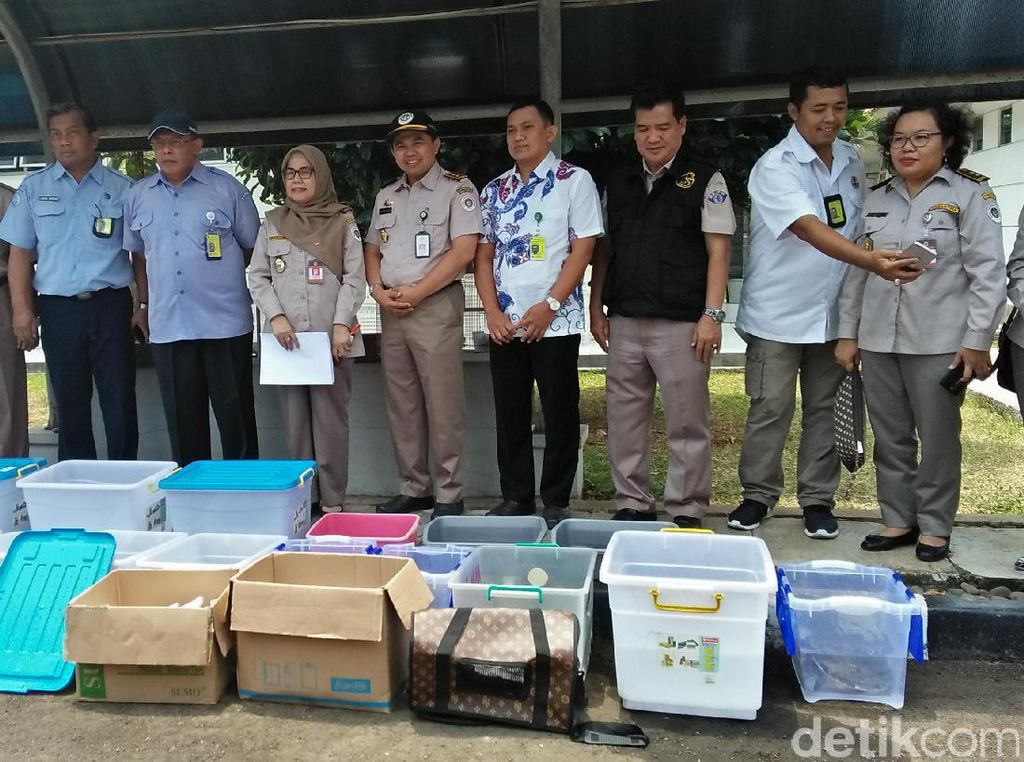 101 Hewan yang Gagal Diselundupkan ke Arab dari Pasar Jatinegara 101 Hewan yang Gagal Diselundupkan ke Arab dari Pasar Jatinegara