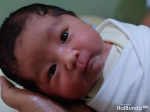 Ini Untungnya Bayi Baru Lahir Mirip Ayahnya Ini Untungnya Bayi Baru Lahir Mirip Ayahnya