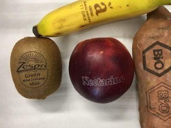 Buah Bertato Untuk Kurangi Pemakaian Plastik