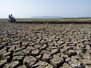 7 Kecamatan di Wonogiri Kekeringan, Diprediksi Sampai Oktober