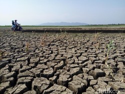 116.216 Jiwa Terdampak Kekeringan Makin Meluas di Gunungkidul