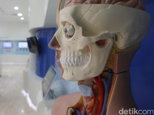 Serba Unik di Museum Kedokteran UI Salemba Serba Unik di Museum Kedokteran UI Salemba