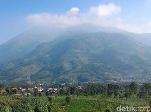 Hutan Gunung Merbabu di Wilayah Boyolali Terbakar Hutan Gunung Merbabu di Wilayah Boyolali Terbakar