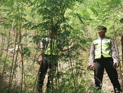 Perempuan Tua Ditemukan Tewas di Kaki Bukit Tiban Probolinggo