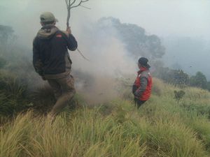 Kebakaran Savana Bromo Seluas 50 Hektare Akhirnya Padam