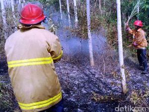 Area Hutan Dekat Permukiman di Cikembar Terbakar, Warga Panik
