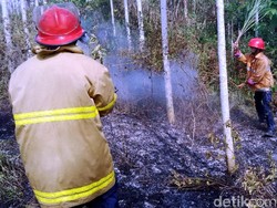 Area Hutan Dekat Permukiman di Cikembar Terbakar, Warga Panik