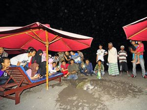 Pantai di Banyuwangi Adalah Surga Bagi Penyu Pantai di Banyuwangi Adalah Surga Bagi Penyu