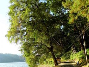 Ponorogo Punya Danau Secantik Ini