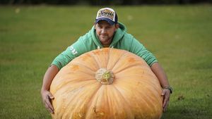 Serunya Berburu Sayuran Raksasa di Inggris