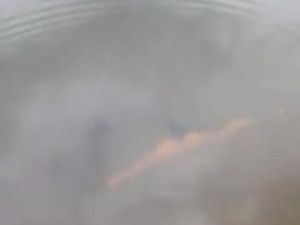 Kronologi Serangan Buaya ke Arjuna dan Supri si Pawang di Kaltim Kronologi Serangan Buaya ke Arjuna dan Supri si Pawang di Kaltim