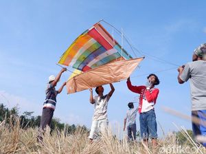 Rayakan Panen, Petani Banjarnegara Terbangkan Layang-layang