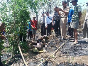 Seorang Petani Tewas Terbakar di Ladang Tebu Miliknya Seorang Petani Tewas Terbakar di Ladang Tebu Miliknya