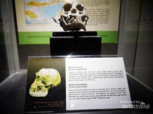 Rumah Bagi Para Manusia Purba