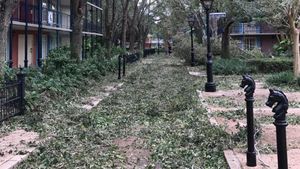 Foto: Disney World Setelah Badai Irma, Bak Kota Hantu