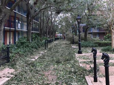 Foto: Disney World Setelah Badai Irma, Bak Kota Hantu