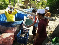 Dinas Perikanan Gandeng Ponpes di Probolinggo Budidaya Ikan