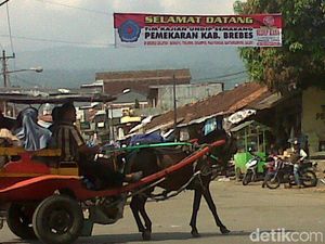Di Balik Sejahteranya Daerah Pemekaran