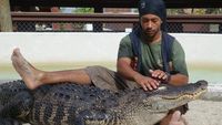 Melihat Aksi Pawang dan Mereka yang Berani Gulat dengan Buaya