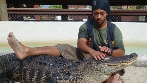 Melihat Aksi Pawang dan Mereka yang Berani Gulat dengan Buaya