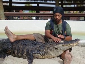 Melihat Aksi Pawang dan Mereka yang Berani Gulat dengan Buaya Melihat Aksi Pawang dan Mereka yang Berani Gulat dengan Buaya