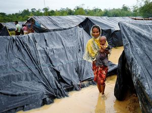 2 Pengungsi Rohingya di Bangladesh Tewas Terinjak Gajah Mengamuk