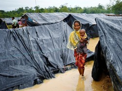 2 Pengungsi Rohingya di Bangladesh Tewas Terinjak Gajah Mengamuk