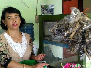 Gurih dan Renyah Krupuk Rambak Biawak Gurih dan Renyah Krupuk Rambak Biawak