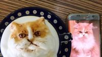 Ngopi Makin Asyik dengan Lukisan Latte Art 3 Demensi di Kafe Ini