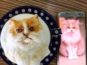 Ngopi Makin Asyik dengan Lukisan Latte Art 3 Demensi di Kafe Ini Ngopi Makin Asyik dengan Lukisan Latte Art 3 Demensi di Kafe Ini