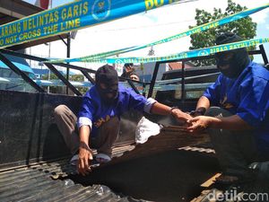 Selundupkan Ganja Rp 2 Miliar, Pelaku Modifikasi Pikap