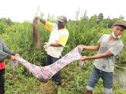 Warga Rohil Diduga Dimakan Buaya, Jenazahnya Ngeri Banget