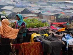 Warga Rohingya Ditangkap Jika Keluar dari Kamp Pengungsian Bangladesh