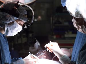 Mau Permak Hidung dengan Filler dan Tanam Benang? Baca Dulu Saran Dokter Mau Permak Hidung dengan Filler dan Tanam Benang? Baca Dulu Saran Dokter