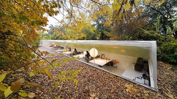 Ngantor di Tengah Hutan? Asyik Juga Yaa