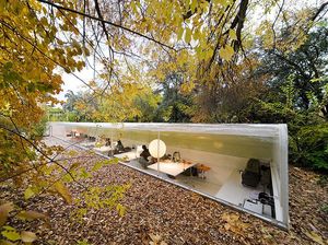 Ngantor di Tengah Hutan? Asyik Juga Yaa