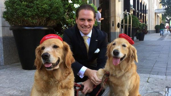 Foto: 12 Hotel Terbaik Buat Pecinta Binatang