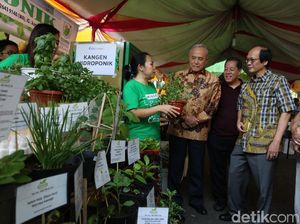 Melihat Ajang hydroponic Expo