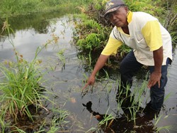 Bisikan Gaib di Balik Penemuan Warga Dimakan Buaya di Rokan Hilir