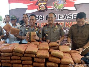 Polisi Gagalkan Pengiriman 277 Kg Ganja Lewat Jasa Kargo
