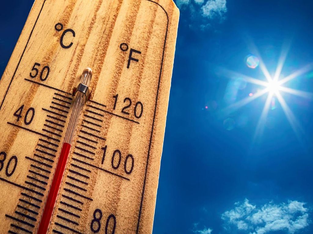 California Terancam Alami Kebakaran Lahan Akibat Suhu Panas California Terancam Alami Kebakaran Lahan Akibat Suhu Panas
