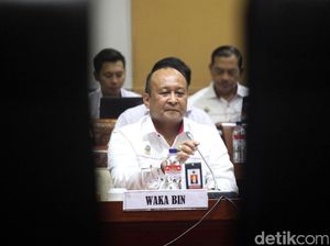 BIN Beberkan Ada 3 Front yang Aktif Dukung Referendum di Papua BIN Beberkan Ada 3 Front yang Aktif Dukung Referendum di Papua