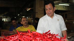 Wakil Ketua Komisi IV DPR Tinjau Harga Bahan Pokok