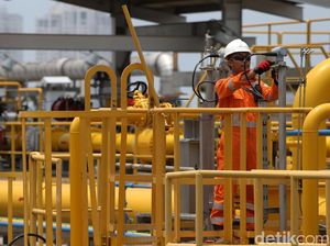 Melihat ORF Muara Karang
